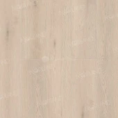 1003-5 Alante