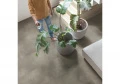 Alpha Vinyl ILLUME (замковый с подложкой)