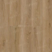 Niky 1001-20