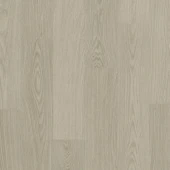 AVSPU40280 Дуб Чиа