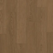 AVSPU40279 Дуб Какао