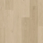 AVSPU40322 Дуб Береговой песчаный
