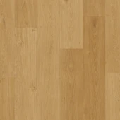 AVSPU40320 Дуб Береговой медовый