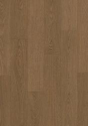 AVSPT40279 Дуб какао