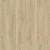 CLH5791 Дуб песочный греш