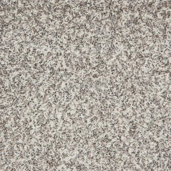 Xanadu 303