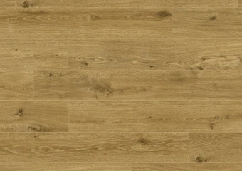 CXCL40064 Дуб классический золотой
