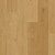 AVSPU40320 Дуб Береговой медовый