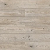 D50937 Дуб Митфорд