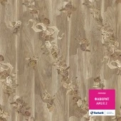 AMUR 2