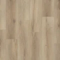 Future House (замковый)