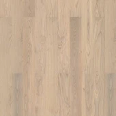 Oak Scandinavian (Дуб Скандинавский) 550048043