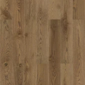 Oak Baron Sienna XL 1200 (Дуб Барон Сиена) 550184021