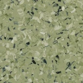 TORO GREEN 0576