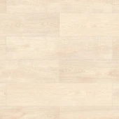 56696 Дуб Берген / Bergen Oak