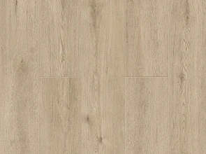 Abbi 1001-01