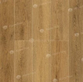 ГРАНД СЕКВОЙЯ ТАКСОДИУМ ECO 11-30