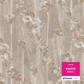 AMUR 1