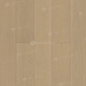 EW201-06 Дуб Шампань