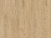 Dor 1001-03