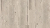 Migel