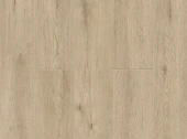 Abbi 1001-01