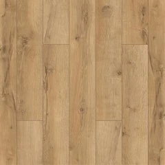 ID97 Дуб Абрис