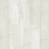 1004-21 Veloce