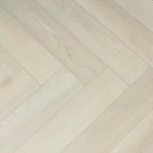 1616019 Дуб Сириус