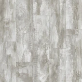 GLADIATOR -MIELE 3