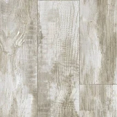 GLADIATOR -MIELE 2