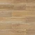 2203 Дуб искристый