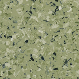 TORO GREEN 0576