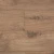 Дуб Дженерейшн ID06180