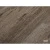 NR603 Дуб Гамвик