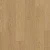 AVSPT 40278 Дуб пряничный