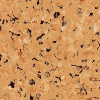 TORO BROWN YELLOW 0573