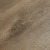 SH1707  Дуб Тродия