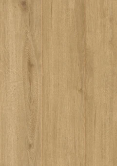 D40792 Дуб Тахо