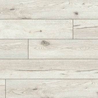 56879 Дуб белый / White oak