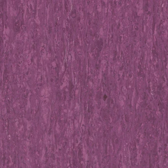 OPTIMA PURPLE 0255