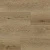 6403 Дуб Флавио Золотой