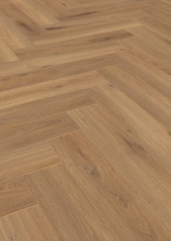 D 3861 PISA OAK 