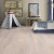 Oak Scandinavian (Дуб Скандинавский) 550048043