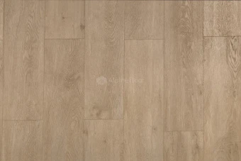 ECO 11-5 КАМФОРА