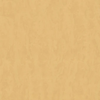 7166-05 Edem