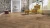D 4764 TREVISO OAK