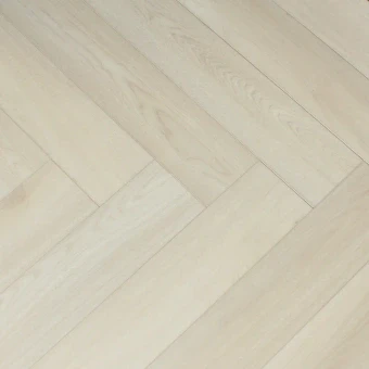 1616019 Дуб Сириус