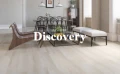 Discovery
