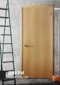 Строительные двери